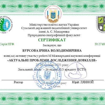 Bursova