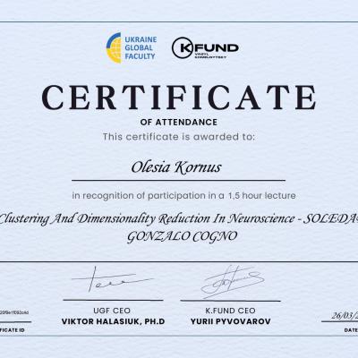 Certificate Clustering And Dimensionality Reduction In Neuroscience Soledad Gonzalo Cogno 66017704f5f92942f603f393